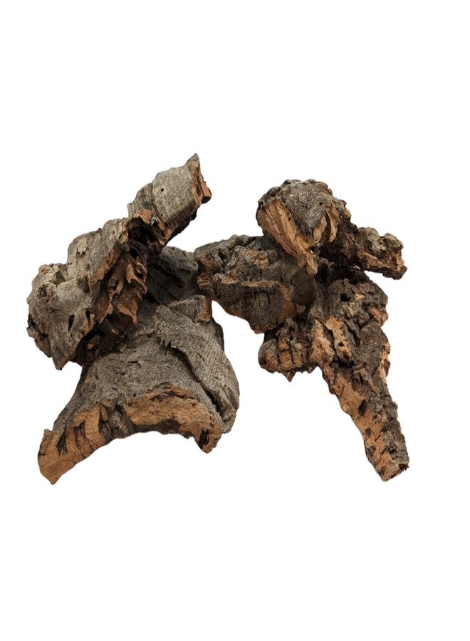 DBDPet Virgin Reptile Cork Bark- Assorted Pieces (Rounds, Half Rounds, and Flats by Weight) for Reptiles, Amphibians, Orchids, Frogs, Terrariums and More! (1lb of Assorted Pieces) - Image 4